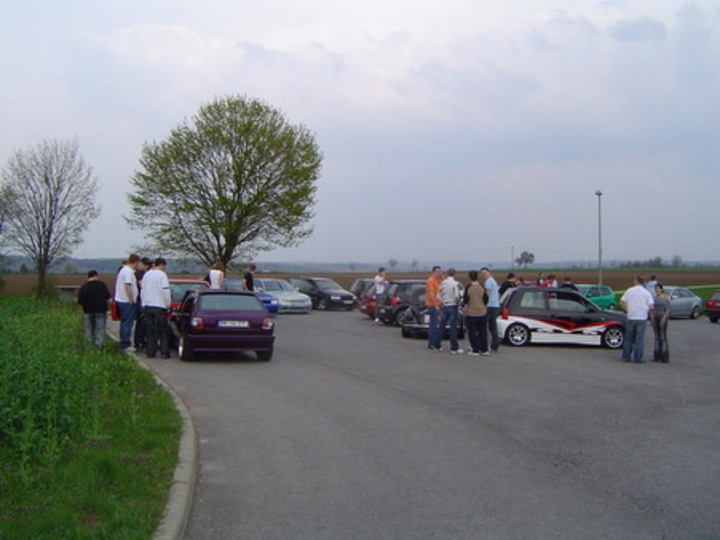 Bild 219 | 1