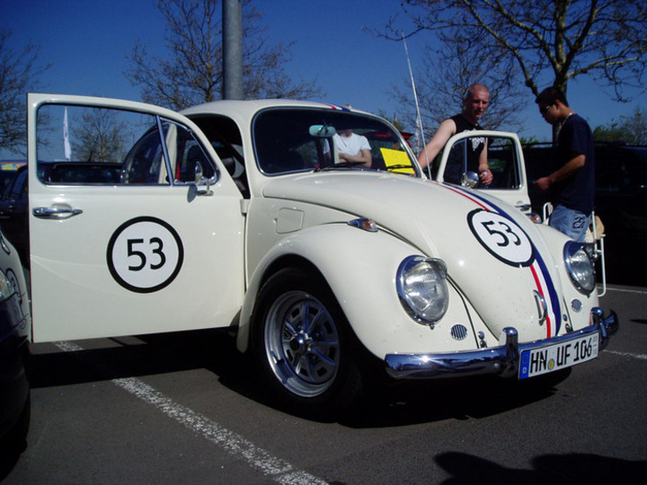 Bild 8813 | 1