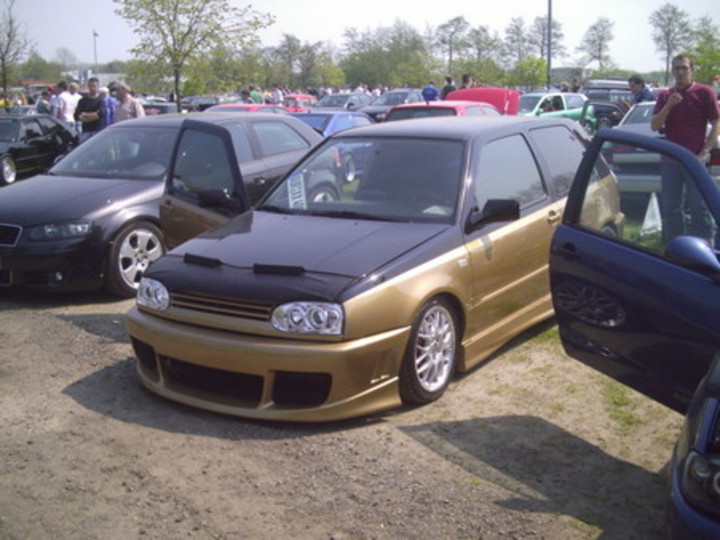Bild 3439 | 1