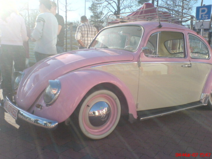 Bild 8237 | 1