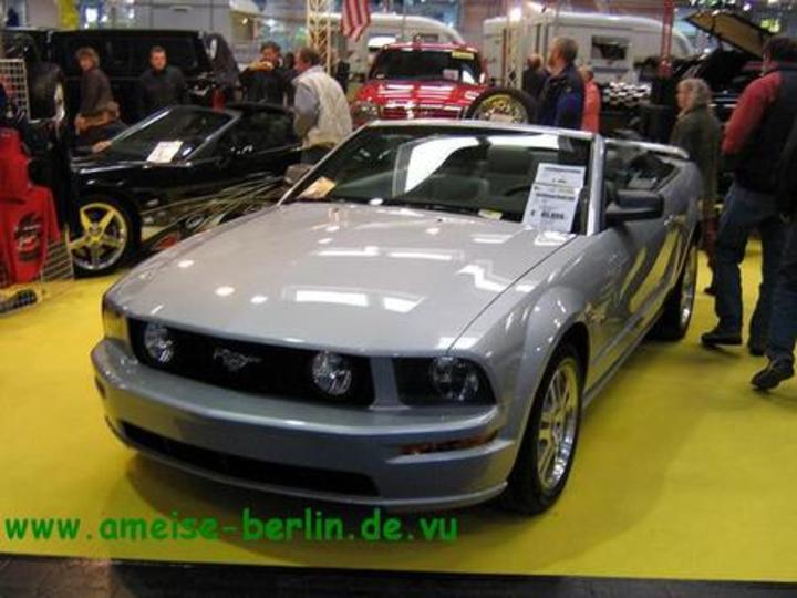 Bild 2175 | 1