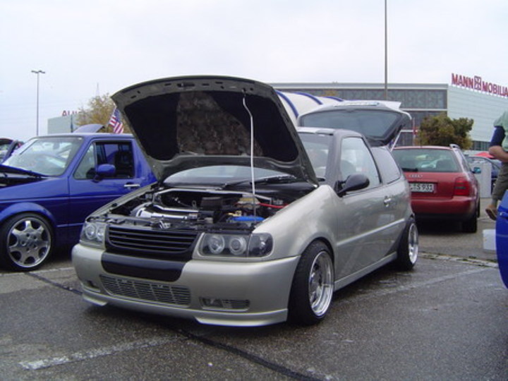 Bild 481 | 1