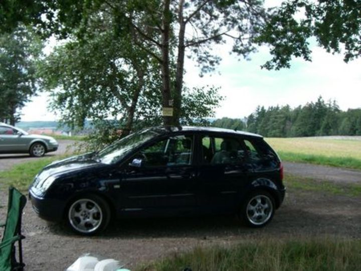 Bild 4994 | 1