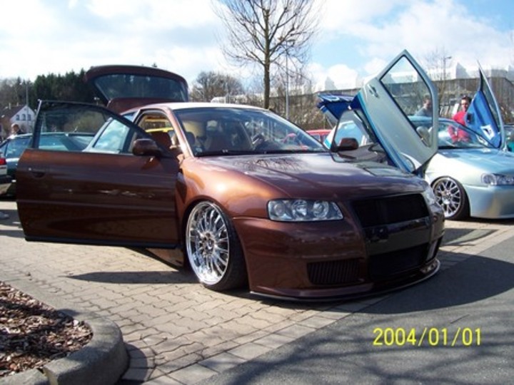 Bild 2481 | 1