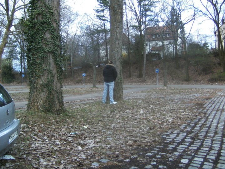 Bild 13135 | 1