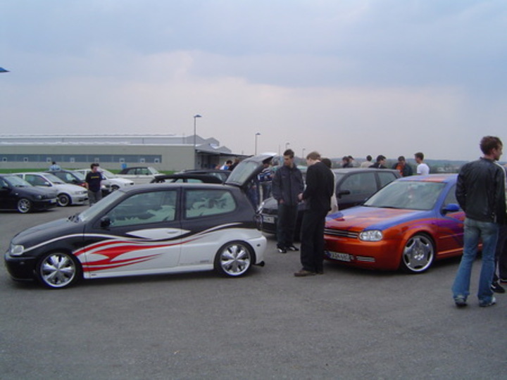 Bild 229 | 1