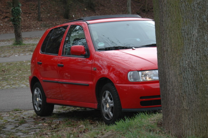 Bild 13094 | 1