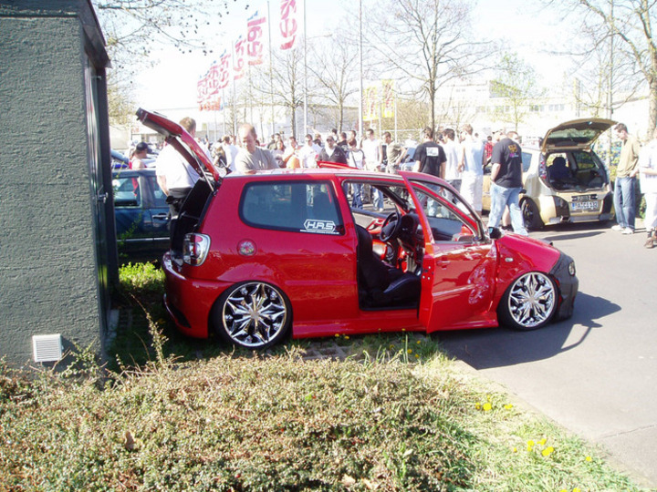 Bild 8715 | 1