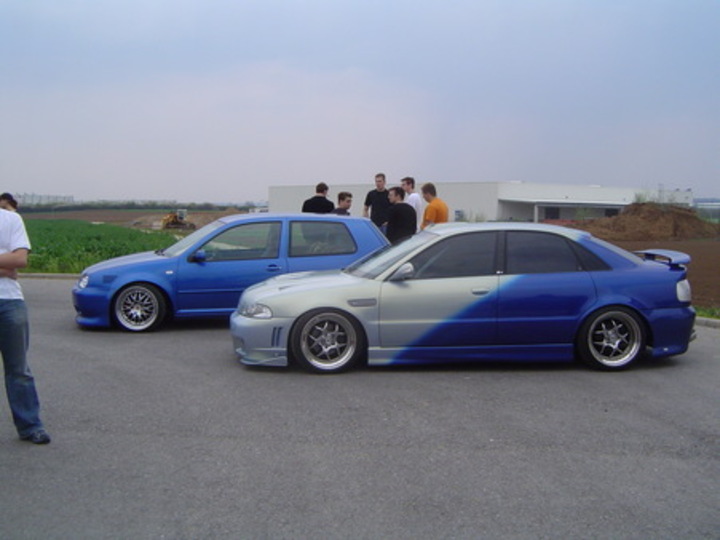 Bild 230 | 1
