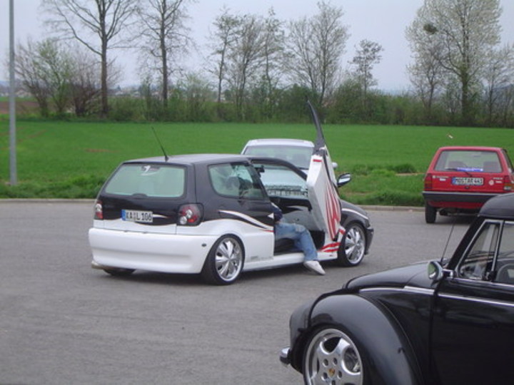 Bild 238 | 1