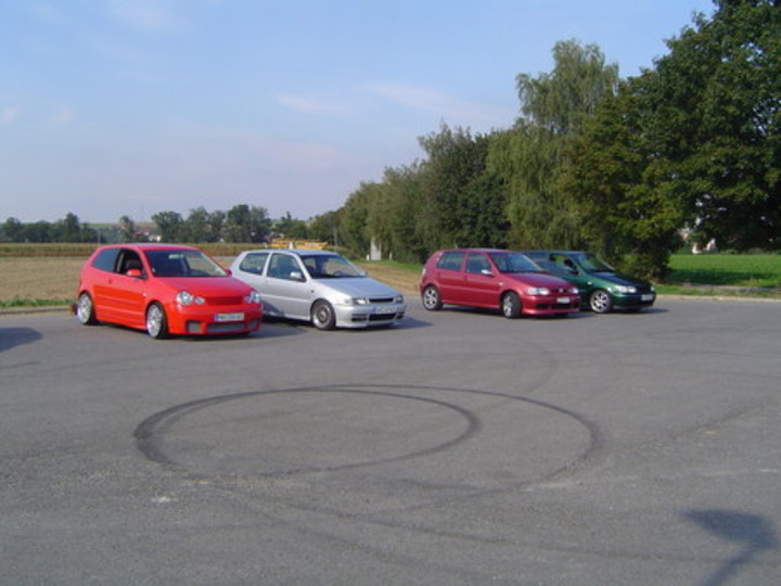 Bild 243 | 1