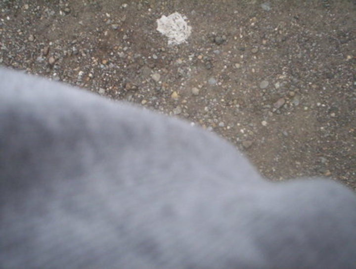 Bild 5739 | 1