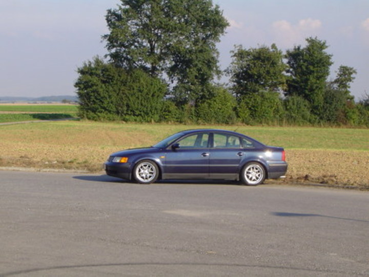 Bild 246 | 1