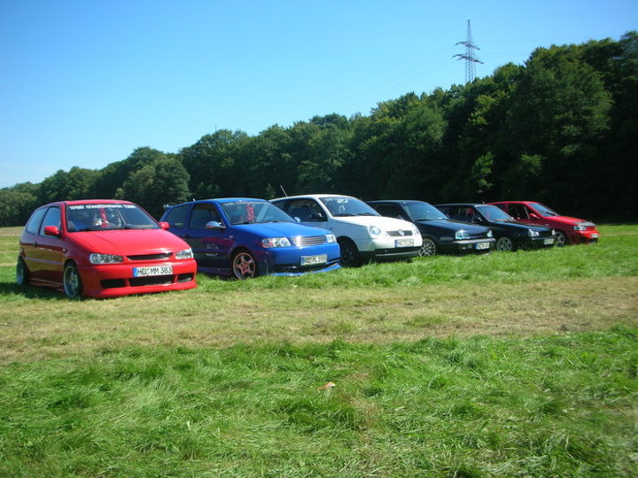 Bild 11730 | 1