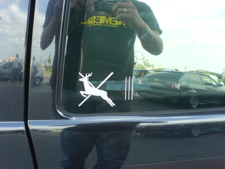 Bild 3809 | 1