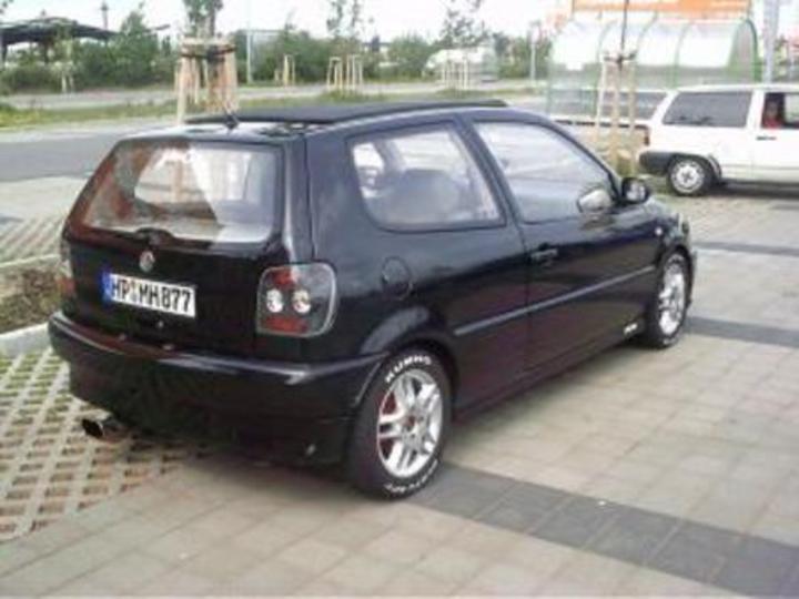 Bild 3368 | 1