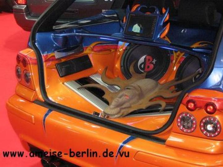 Bild 2181 | 1