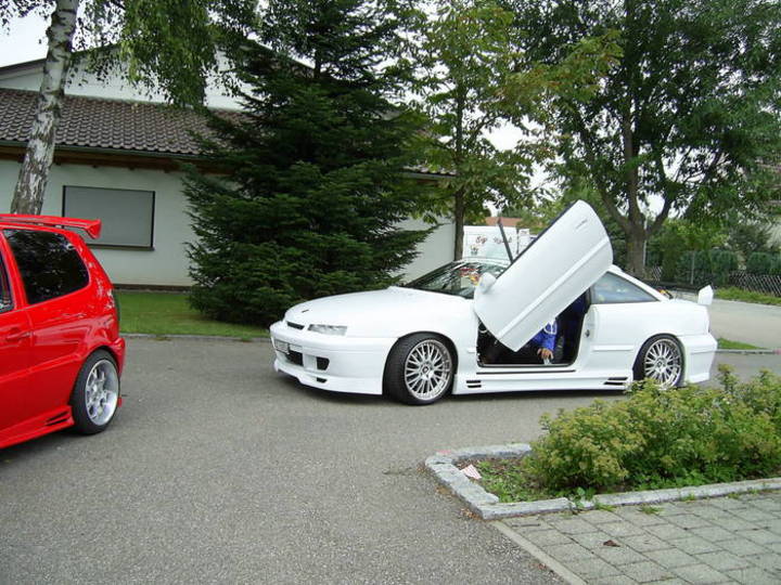 Bild 12725 | 1