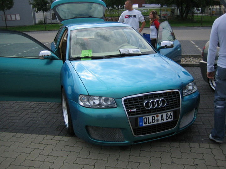 Bild 12495 | 1