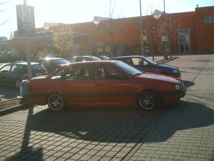 Bild 8691 | 1