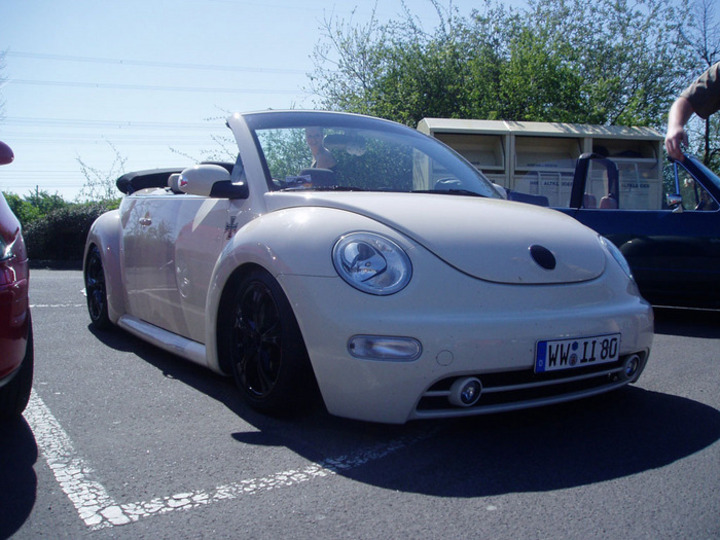 Bild 8818 | 1