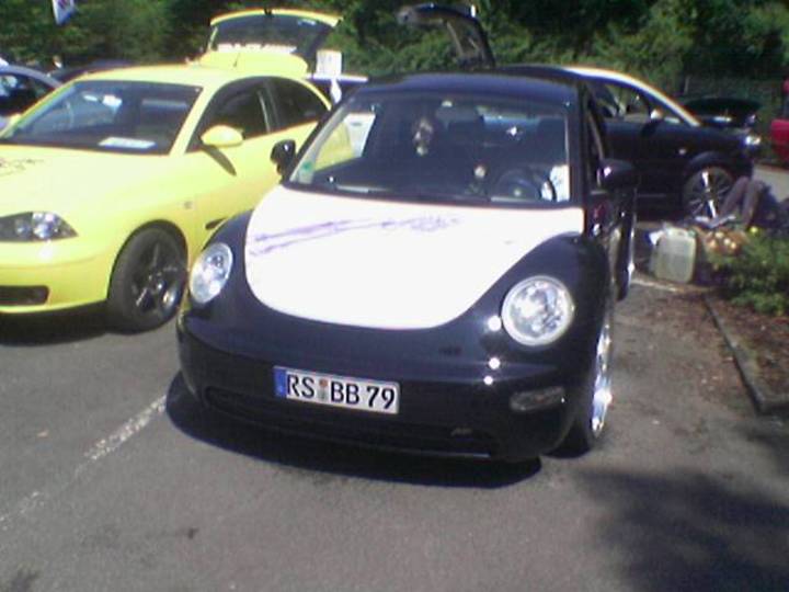 Bild 17835 | 1