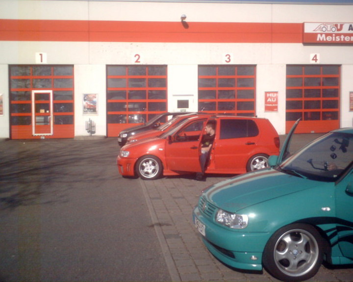 Bild 8313 | 1
