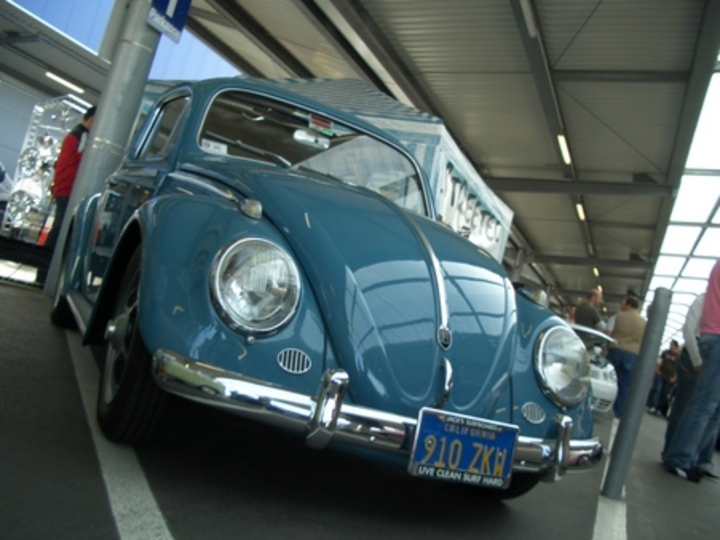 Bild 6213 | 1