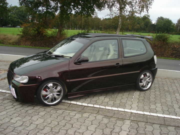 Bild 12909 | 1