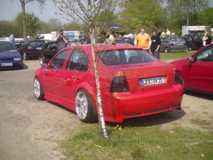 Bild 3445 | 1