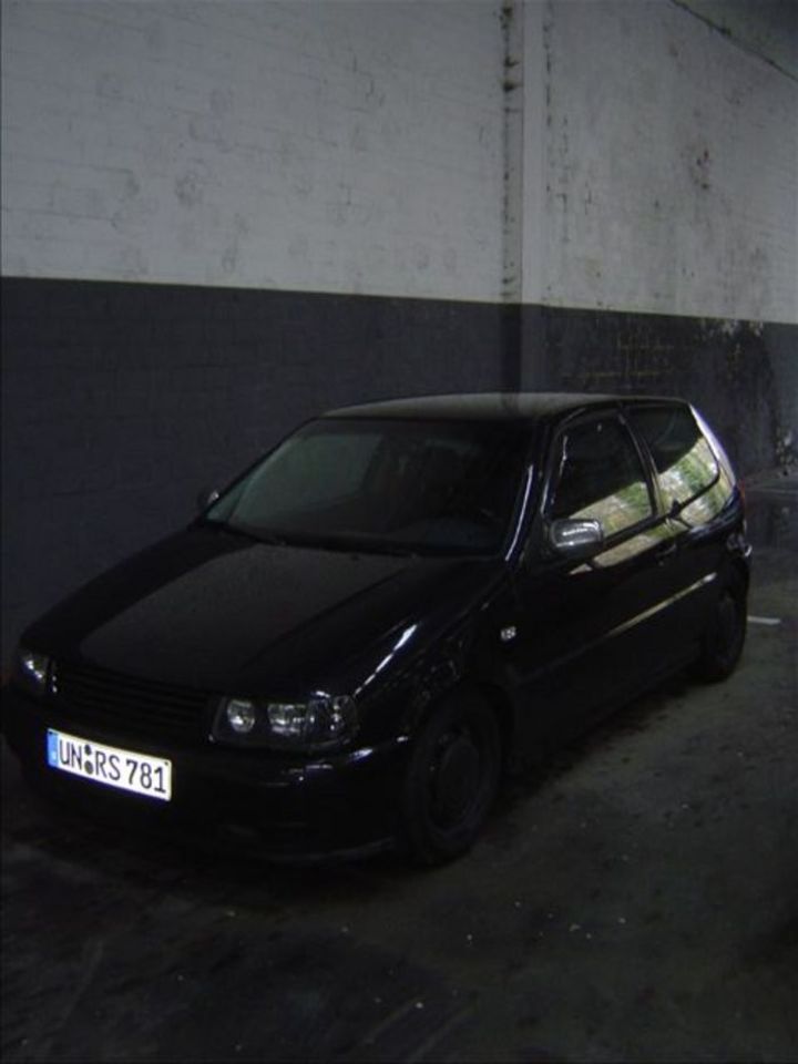 Bild 8184 | 1