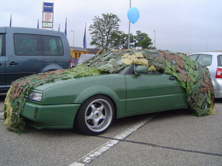Bild 486 | 1