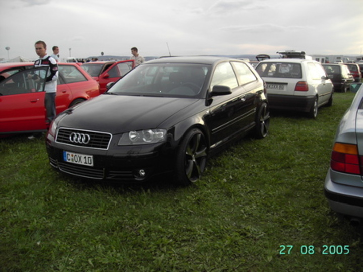Bild 2336 | 1