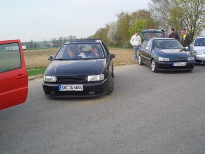 Bild 2905 | 1