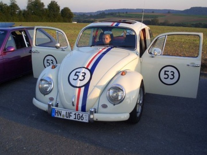 Bild 772 | 1