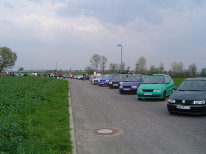 Bild 217 | 1