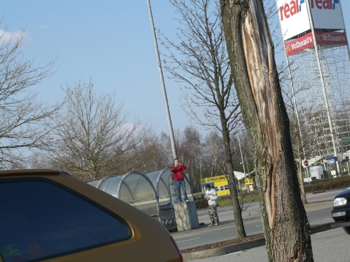 Bild 8502 | 1