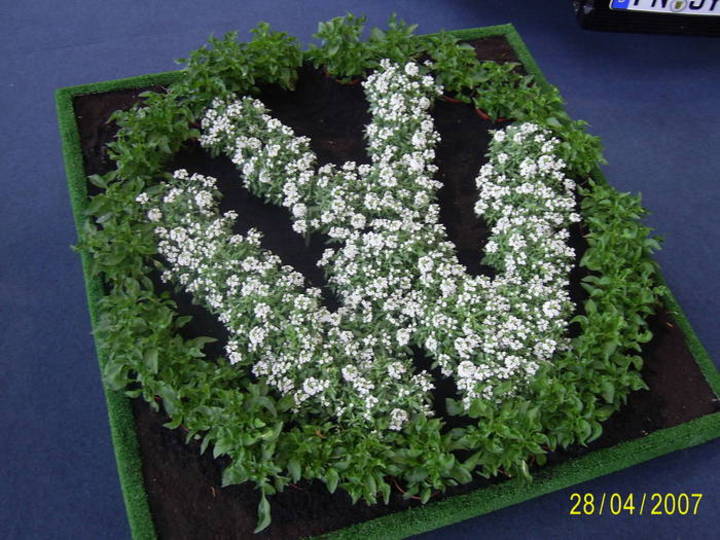 Bild 9584 | 1