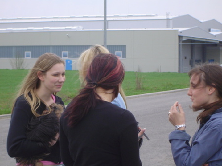 Bild 234 | 1