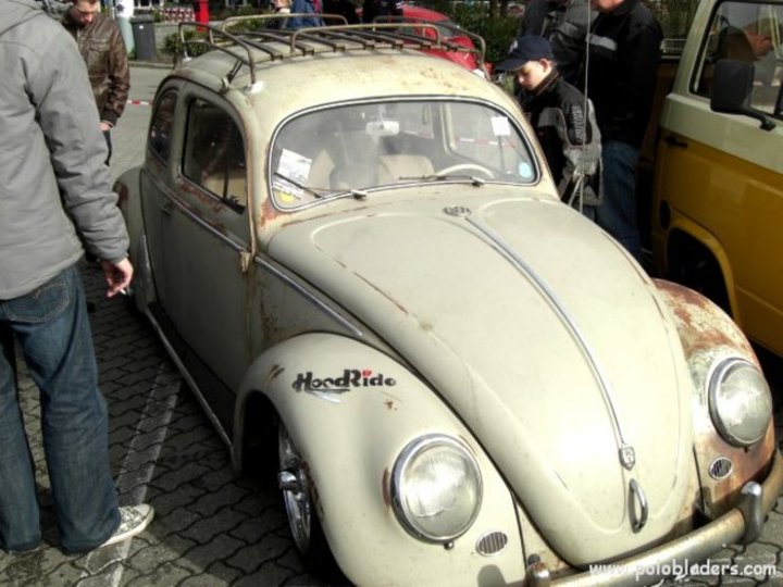 Bild 13062 | 1