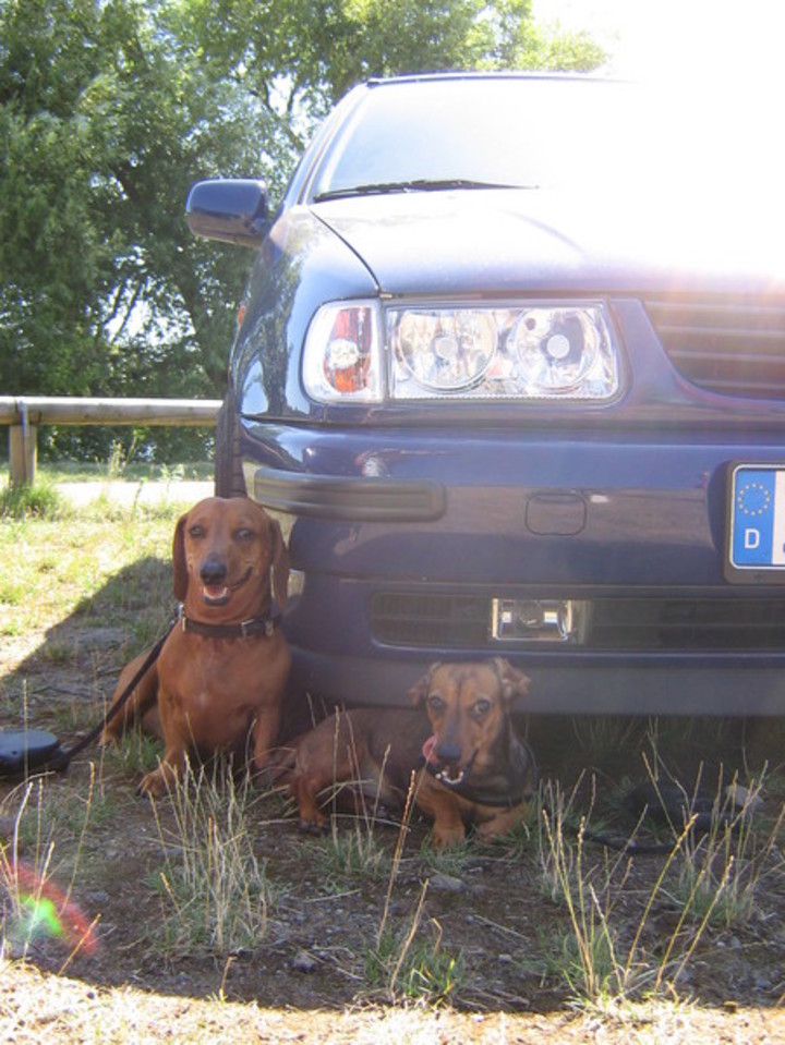 Bild 4120 | 1