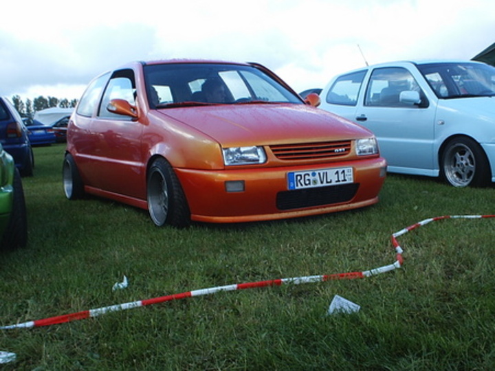 Bild 3559 | 1