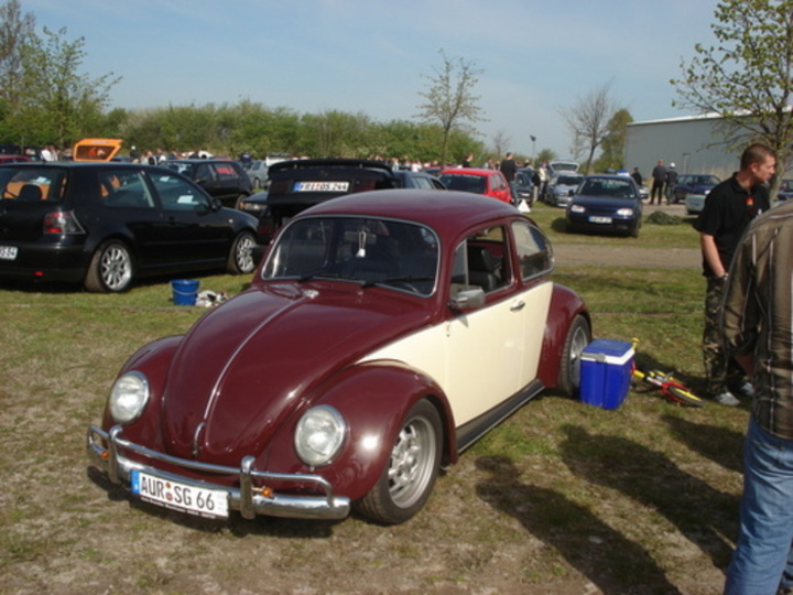 Bild 10738 | 1