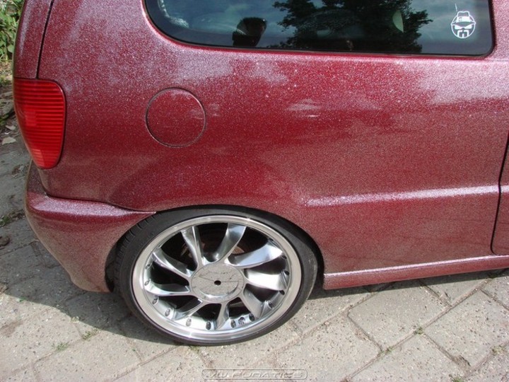 Bild 10243 | 1