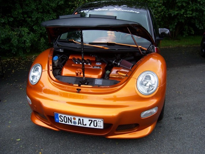 Bild 10194 | 1