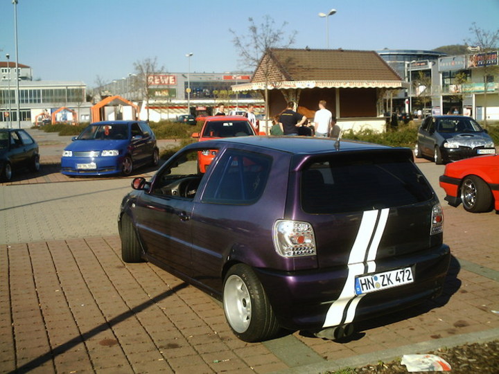 Bild 8684 | 1