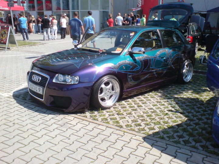 Bild 11685 | 1
