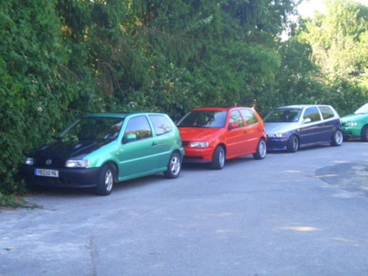 Bild 3930 | 1
