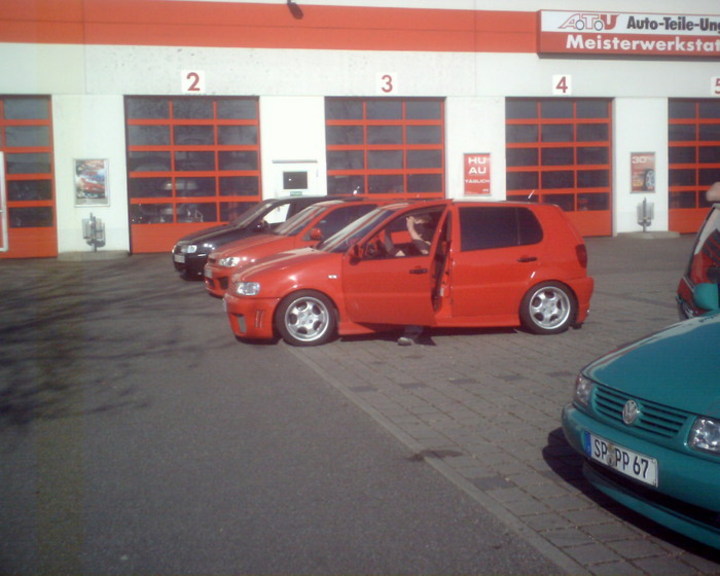Bild 8306 | 1